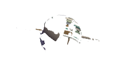 Charly BGood Logo